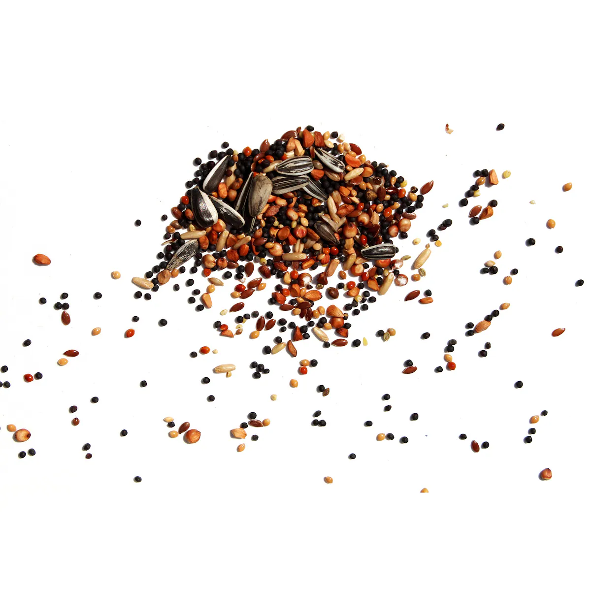 Wildvogelfutter, 1 kg