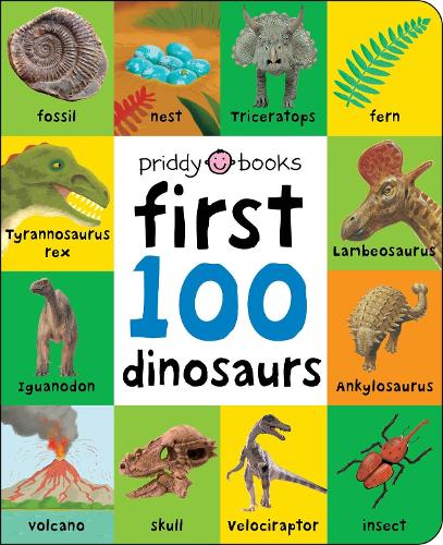 First 100 Dinosaurs - First 100 Soft To Touch (Board book)