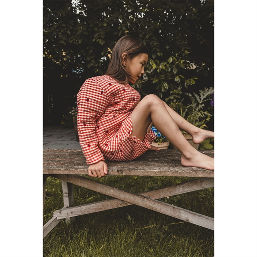 Molly Shorts Berry Gingham - Flöss → Luksusbaby.dk