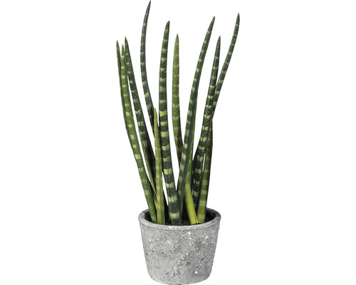 Kunst Sansevieria plant, betonnen pot, 45 cm hoog, groen