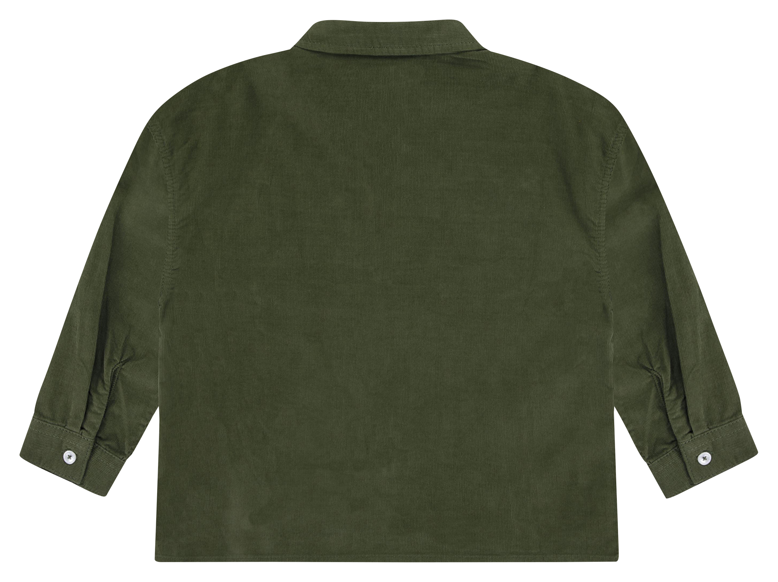 Chemise droite col classique en coton | Vert