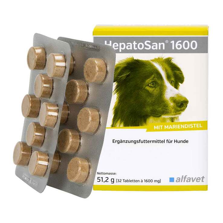 Hepatosan 1600 Tabletten Ergänzungsfuttermittel für Hunde, 32 St