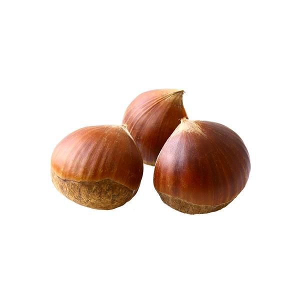 Castanha Biológica