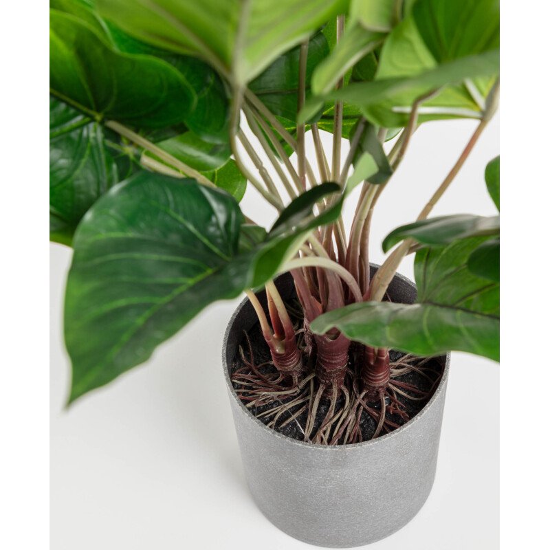 Plante artificielle Anthurium de 50 cm