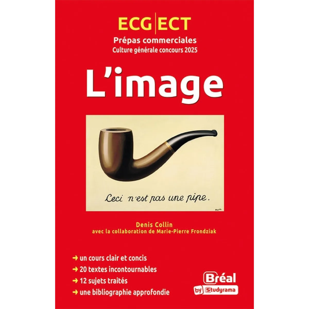 L'image : culture générale concours 2025 : ECG, ECT, prépas commerciales