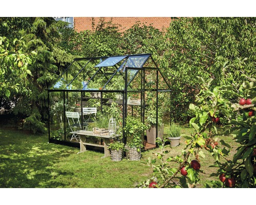Halls Qube 68 kas, 5,1 m², 3 mm veiligheidsglas, 198 x 259 cm, zwart