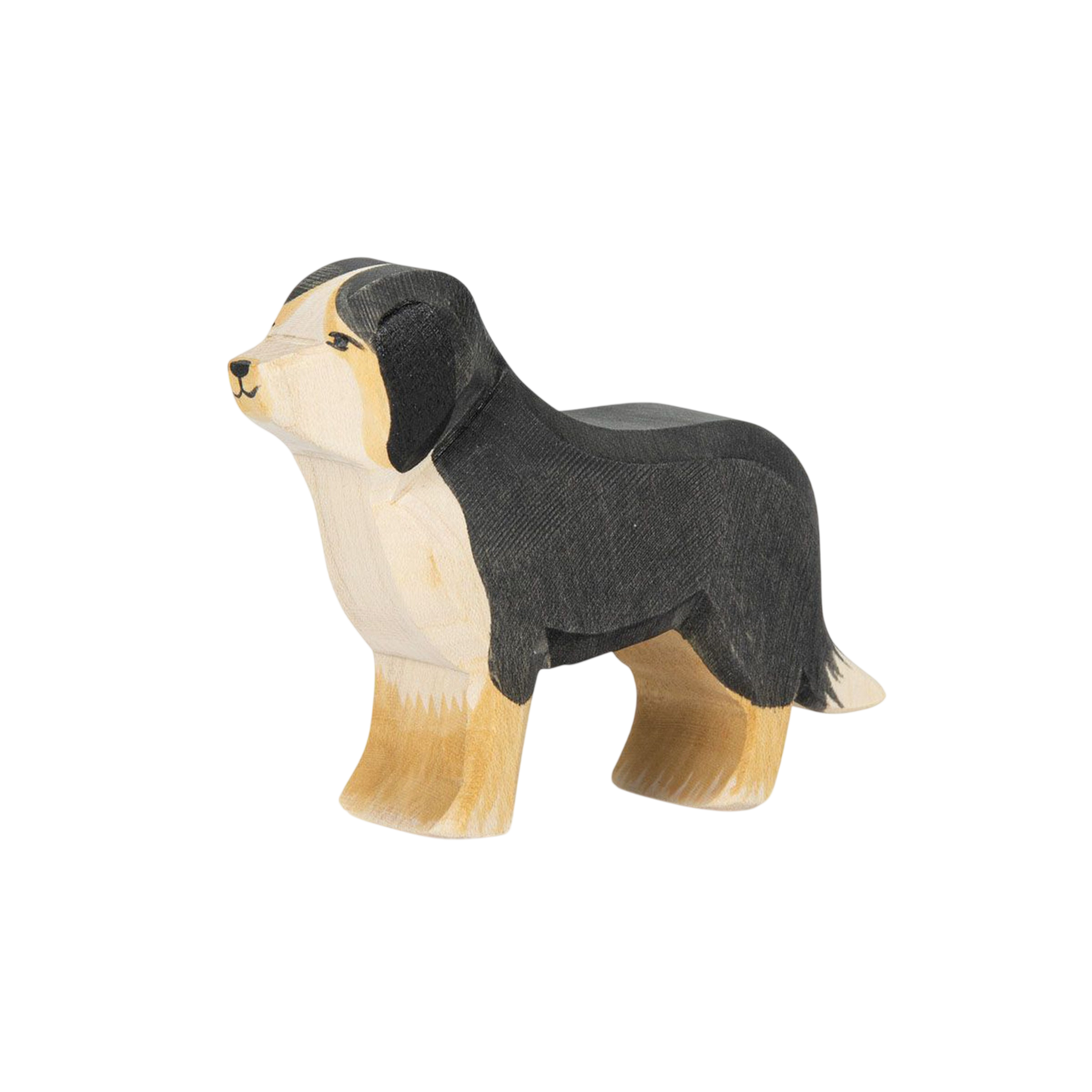 Ostheimer Berner Sennenhund