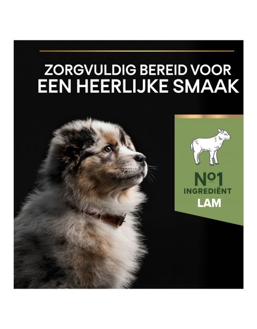 Pro Plan Dog Puppy Medium Breed Sensitive Digestion Lam - Hondenvoer