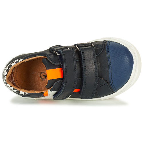 GBB - ORSO Azul