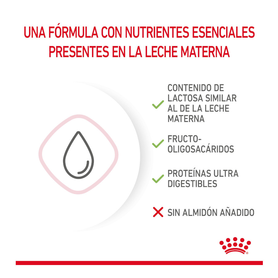 Leite Royal Canin para gatinhos no primeiro ano de vida.
