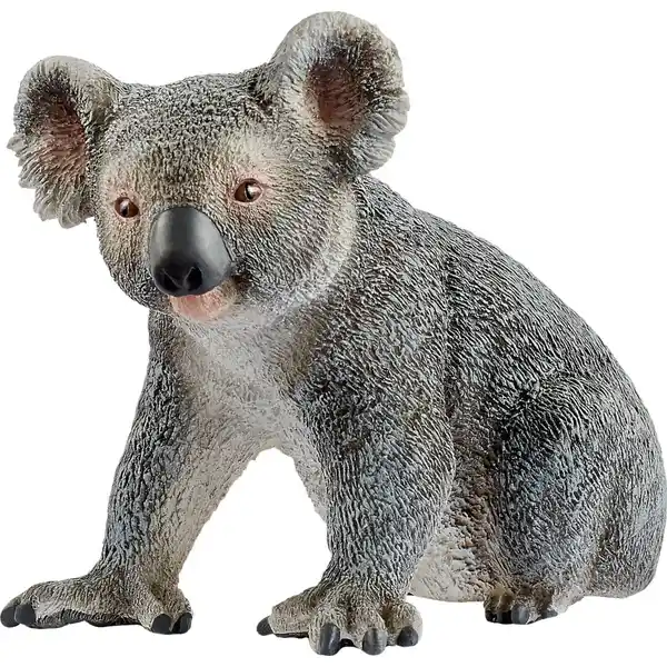 14815 Wild Life, Koalabär