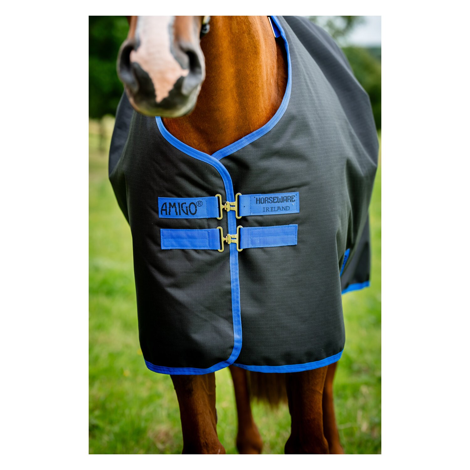 HORSEWARE Weidedecke AMIGO Ripstop 900 Fleece Lining, 50 g - black/classic blue