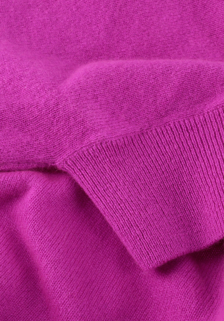 paarse absolut cashmere truien/vesten kate
