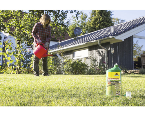Gazonmosverwijderaar Finalsan Neudorff, 500ml