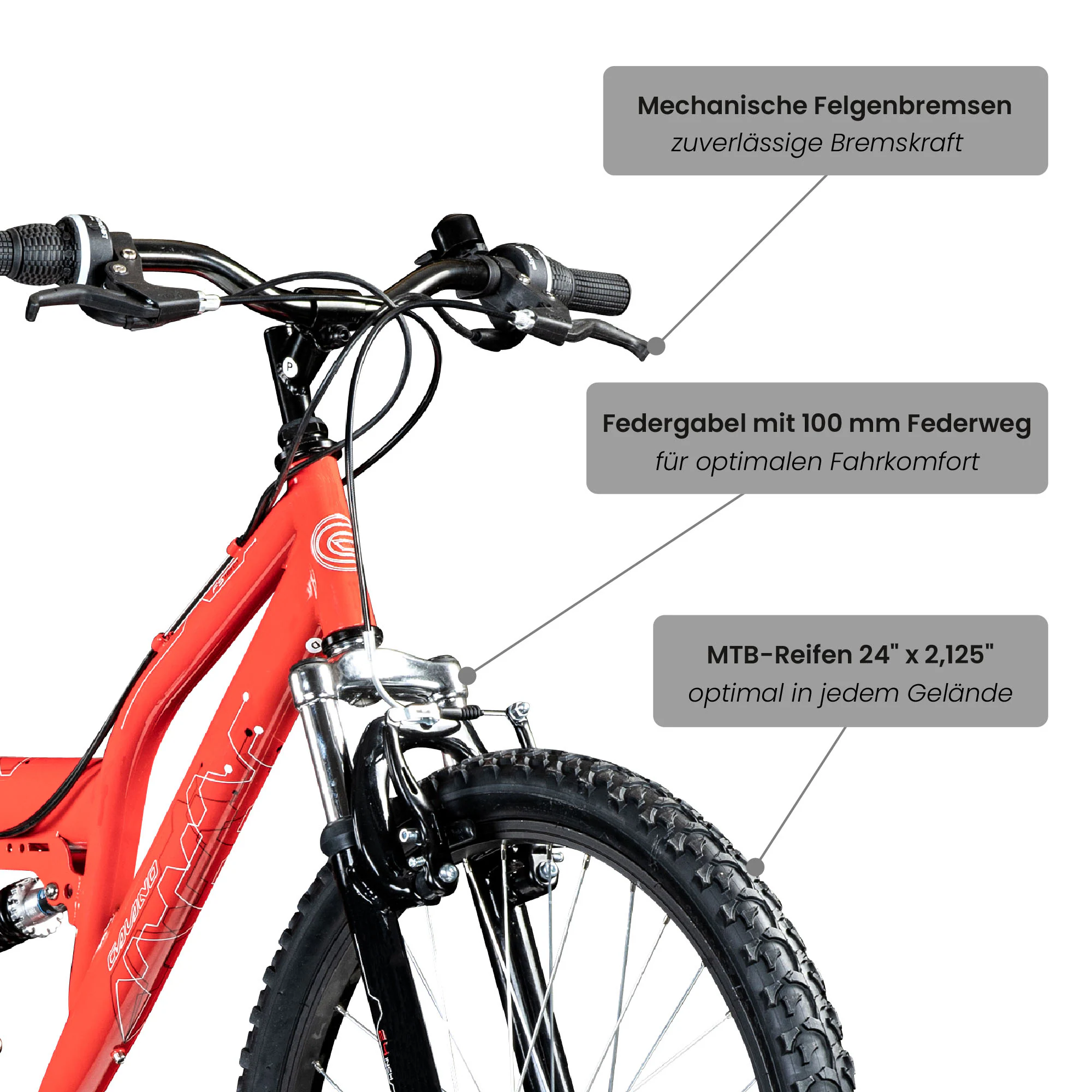 Galano FS180 Jugendfahrrad 24 Zoll Mountainbike ab 8 Jahre 130 - 145 cm 21 Gänge