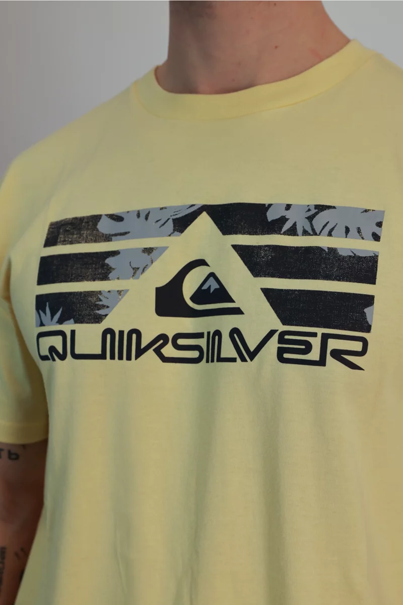 Quiksilver Bayabas Herren T-Shirt
