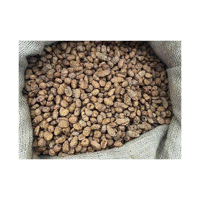 Graine Poseidon Particles Tigernuts Xxl