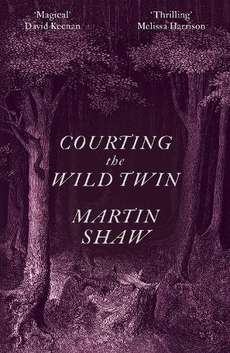 Courting the Wild Twin (Paperback)