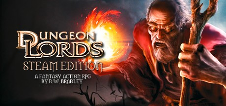 Dungeon Lords Steam Edition- PC
