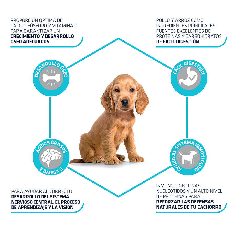 Ração Advance Active Defense para cães de porte médio, sabor frango e arroz.