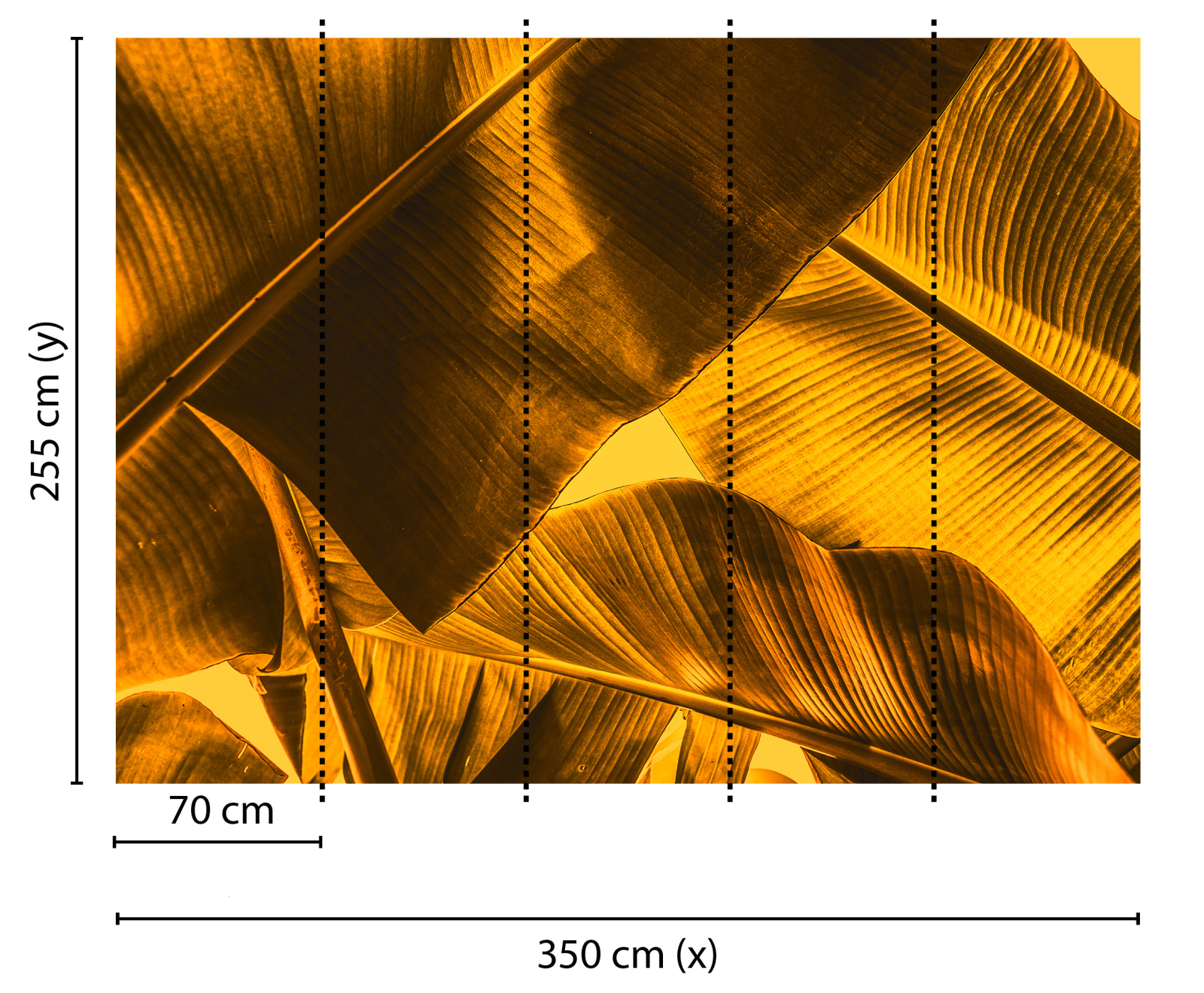 Fototapete DESIGNWALLS - orange-gelb - Pflanzen - 2,55 Meter