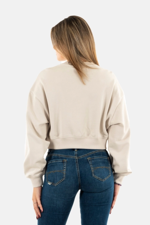 Sweat calvin klein jeans script institutional pdh moonbeam