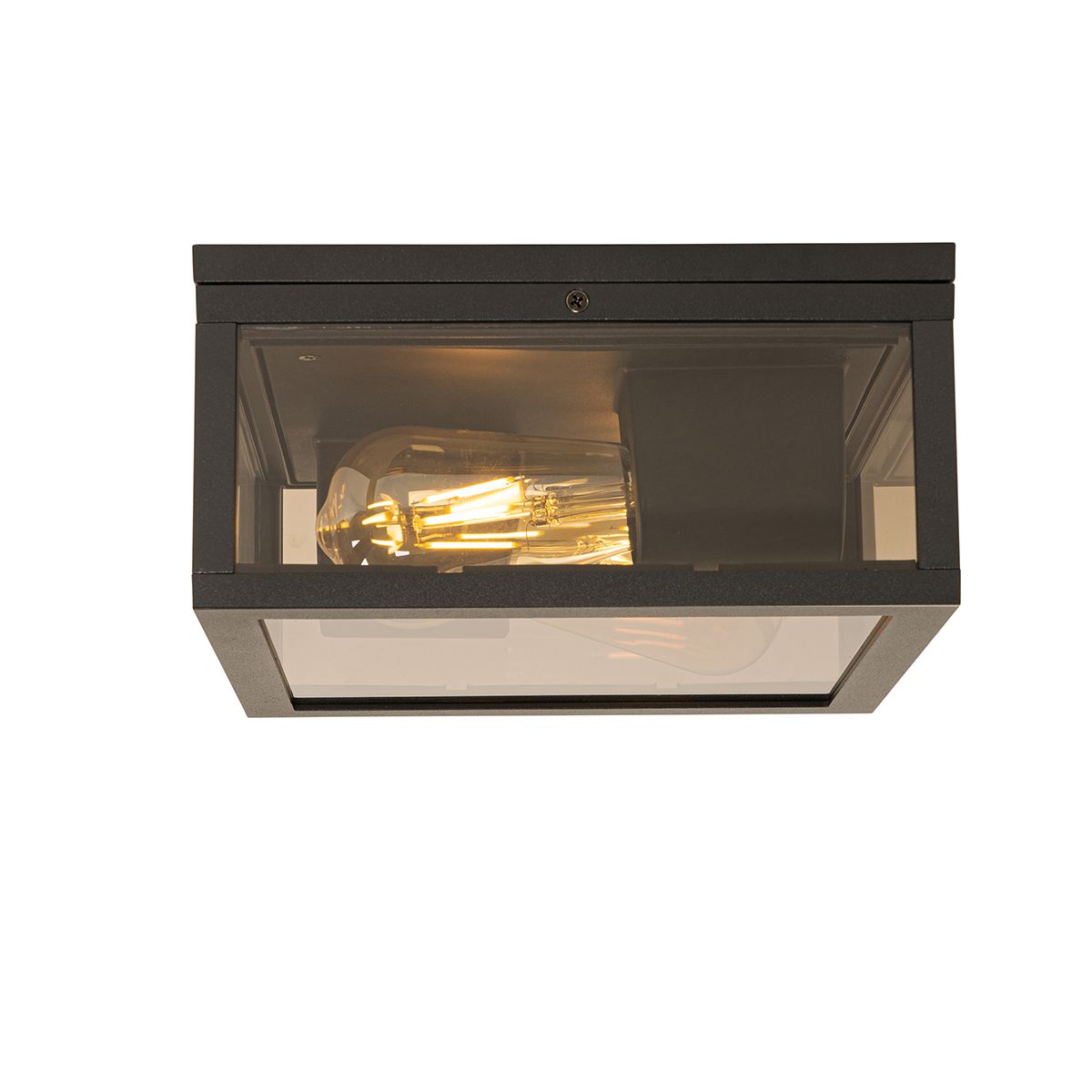 Plafondlamp zwart met smoke glas 2-lichts IP44 - Charlois