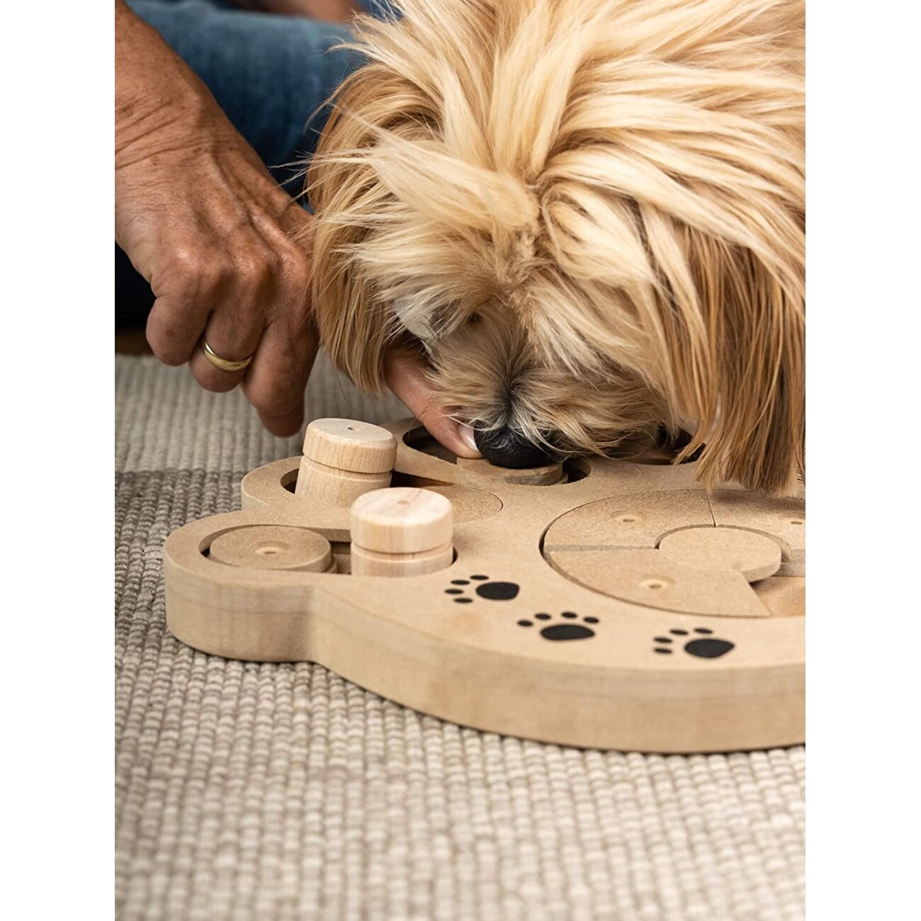TrendPet Intelligenzspielzeug Intelli