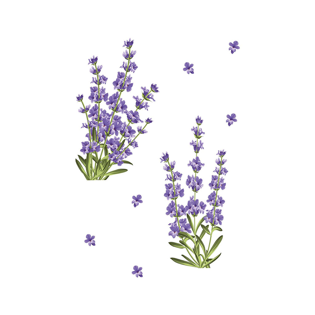 Sticker mural déco fleurs de lavande 70x20cm