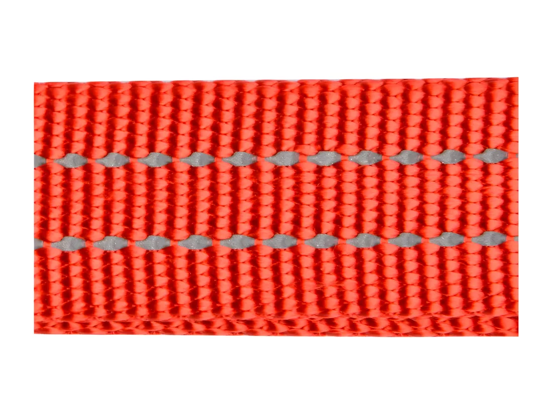 Collier Réglable 