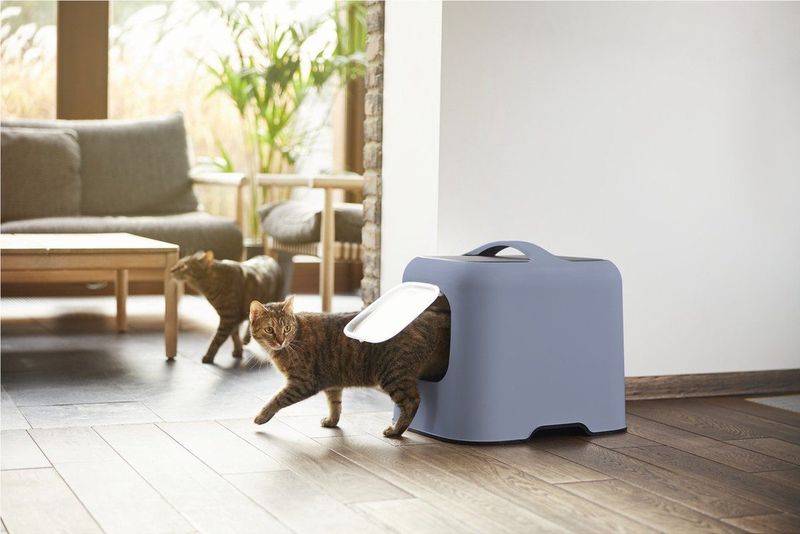 Rotho Mypet Kattenbak Biala 51 x 39.5 x 44.3 cm - Kattentoilet - Blauw & Antraciet