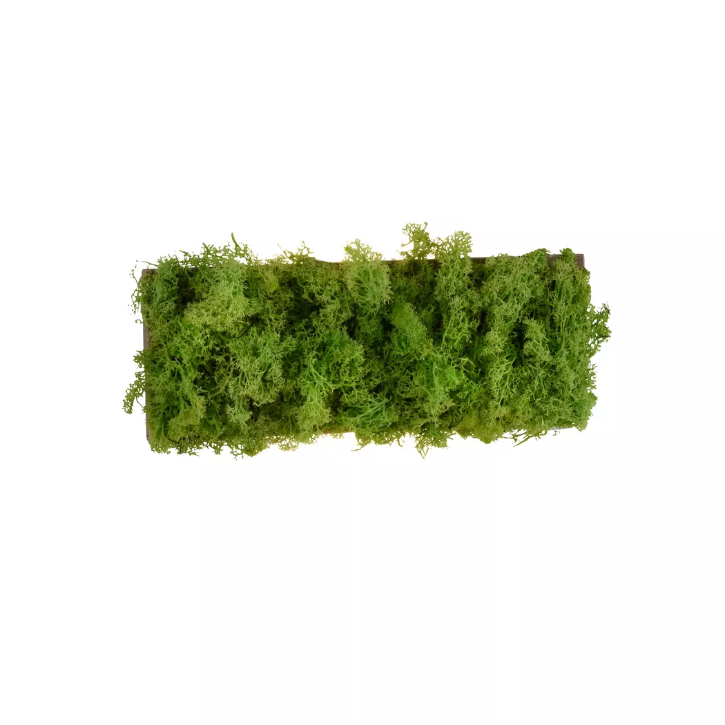 LED-Wandleuchte Green Carl