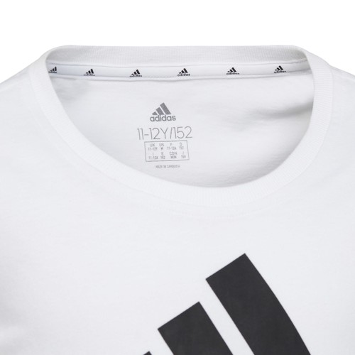Adidas Sportswear - FEDELINE - Blanc