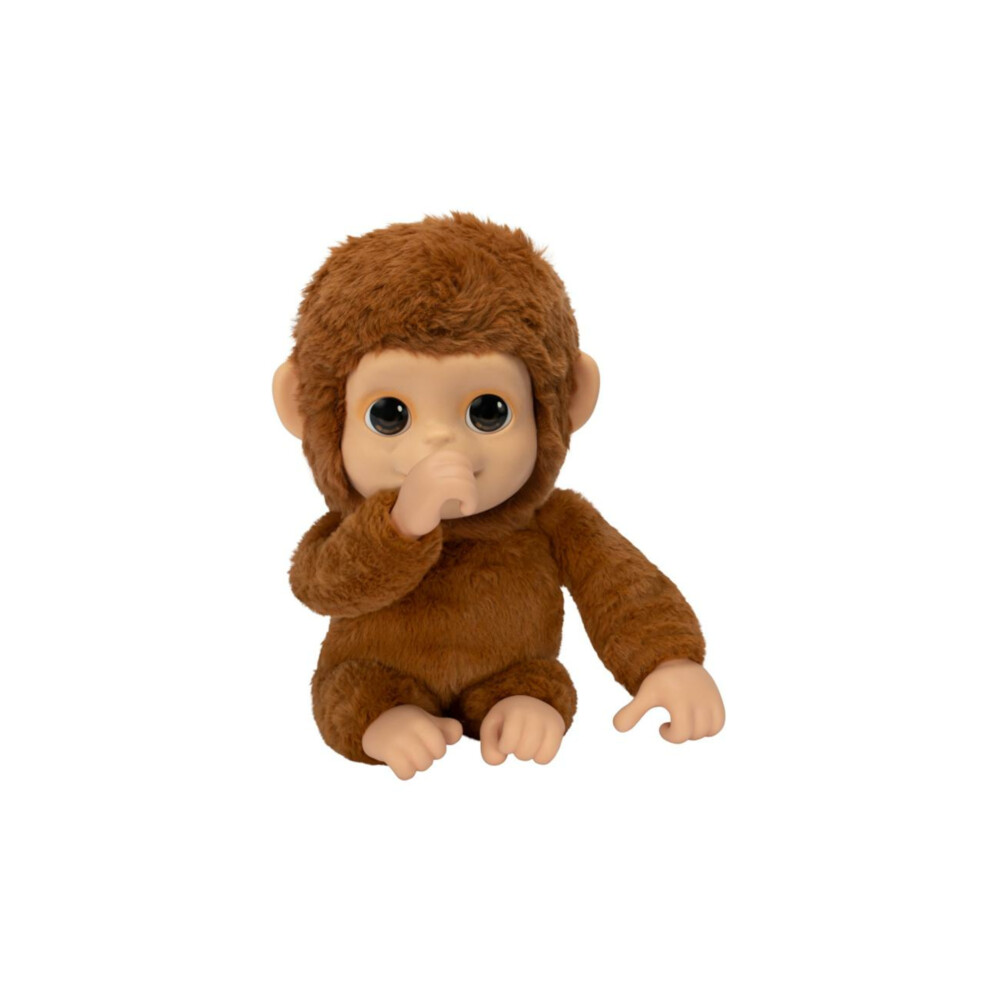 My Baby Monkey