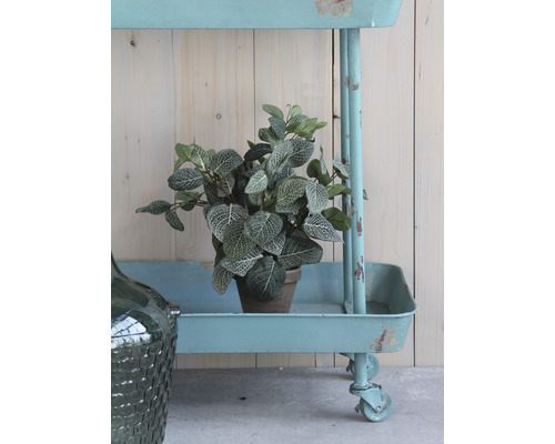 Kunstmozaïekplant Fittonia Ø 25 H 35 cm bruin