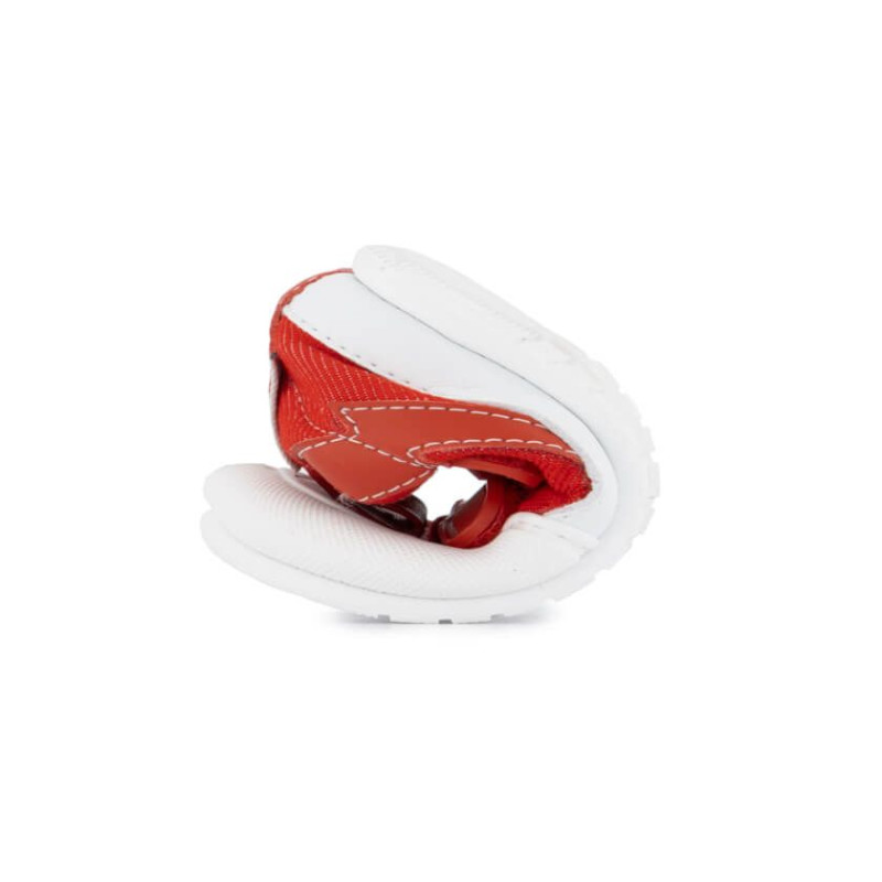 Zapato feroz Zapato Feroz Féroces Moraira Rayo Rouge