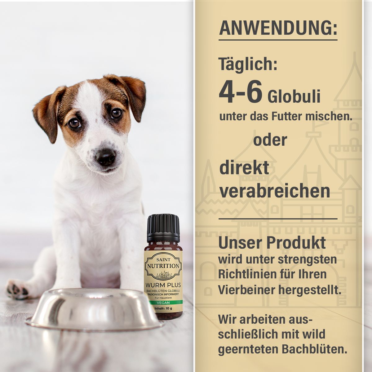 Saint Nutrition® | Wurm Kügelchen | Wurmmittel
