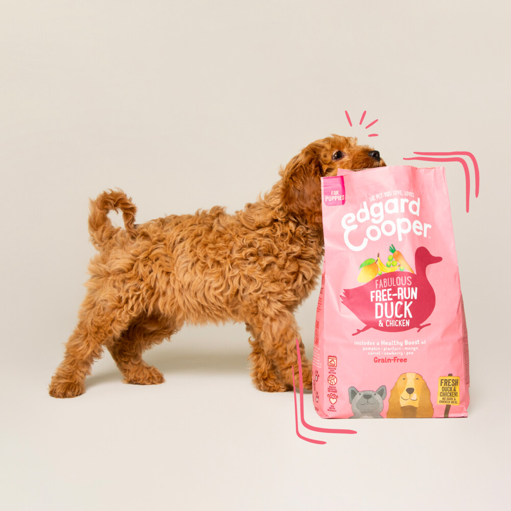 Edgard & Cooper Hondenvoer Puppy Scharrelkip - Scharreleend7 kg