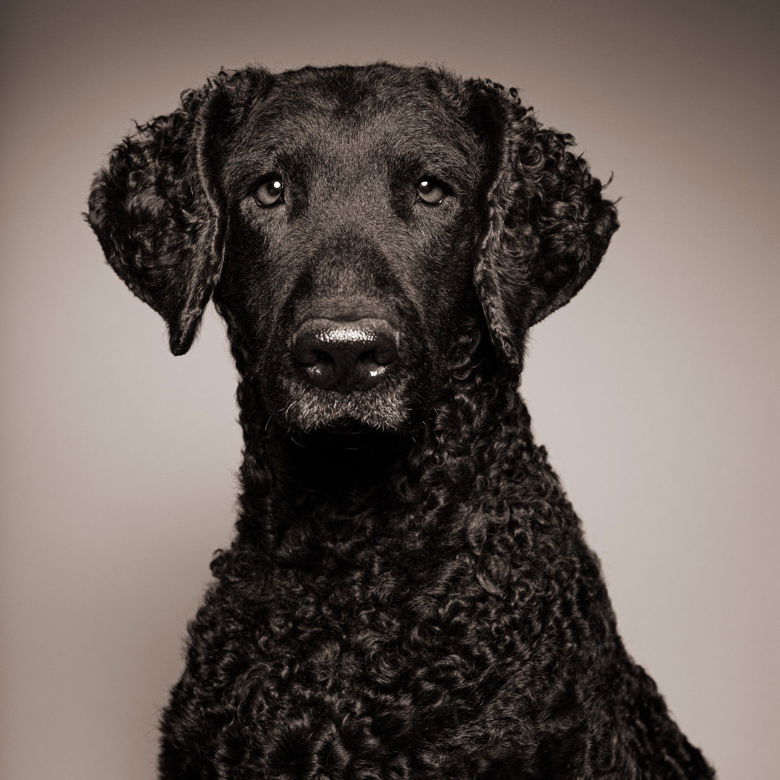 ECHO by Catherine Ledner - Limited Edition. Edition of: 150. Signed.