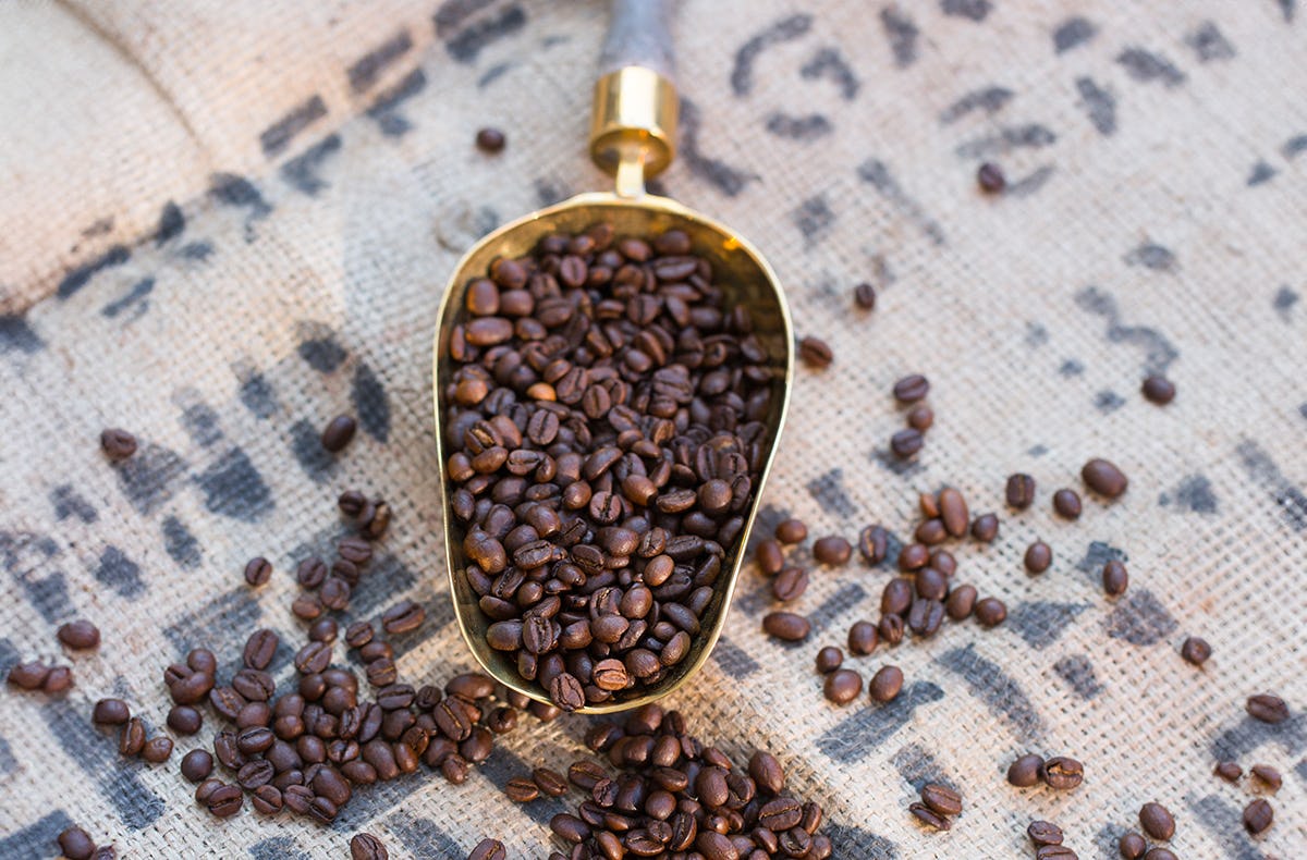 Kaffee Seminar Legau