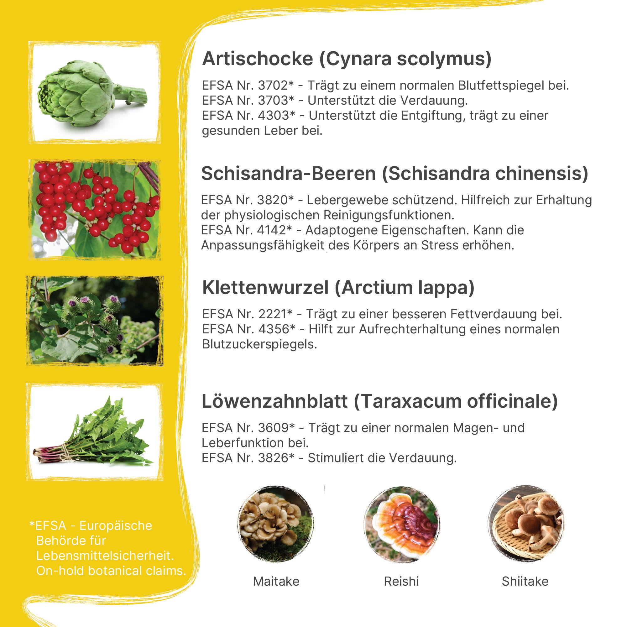 Patris Health® Leber+ Komplex