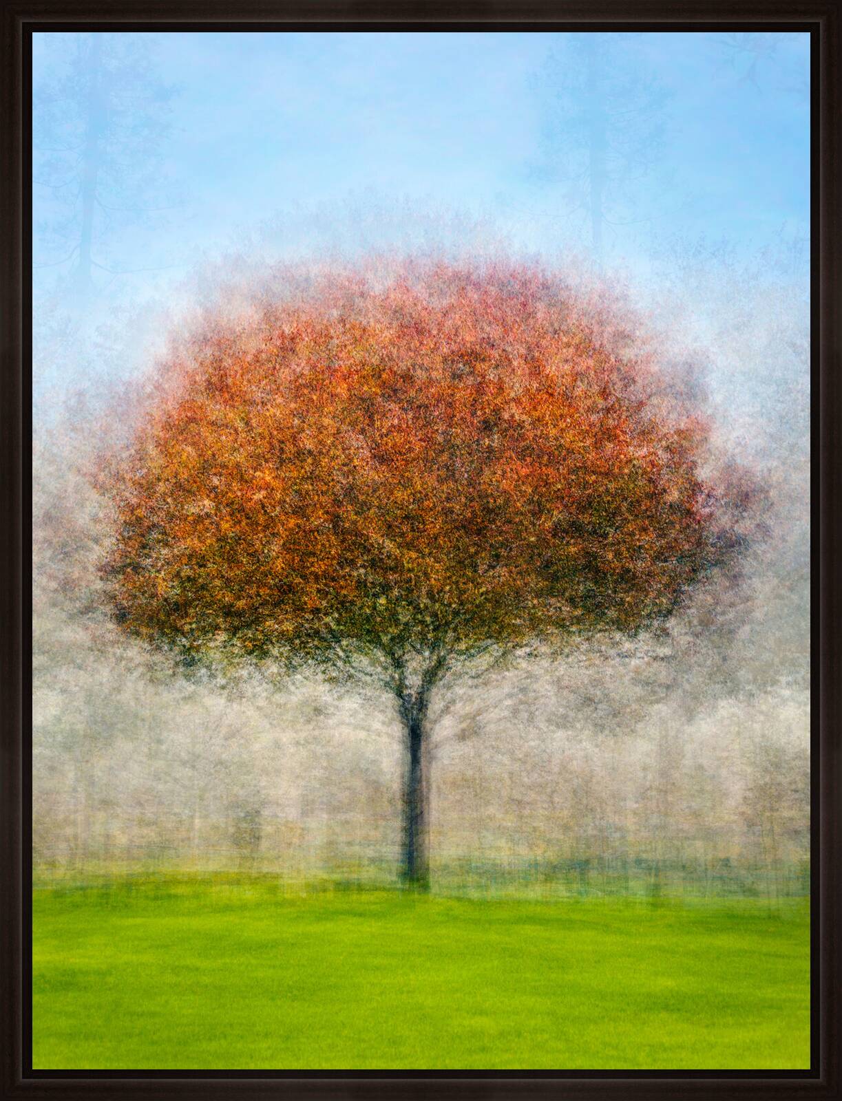 John D Morgan Park by Pep Ventosa - Limited Edition. Edition of: 100. Signed.