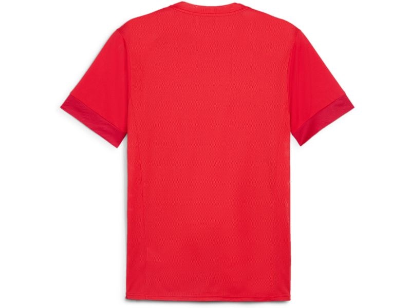 PUMA Jersey teamGOAL Matchday L, Rot Das atmungsaktive und leichte T-Shirt für maximale Leistung am Spieltag