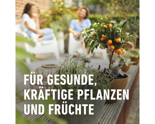 COMPO BIO turfvrije citrusplantengrond 10 L