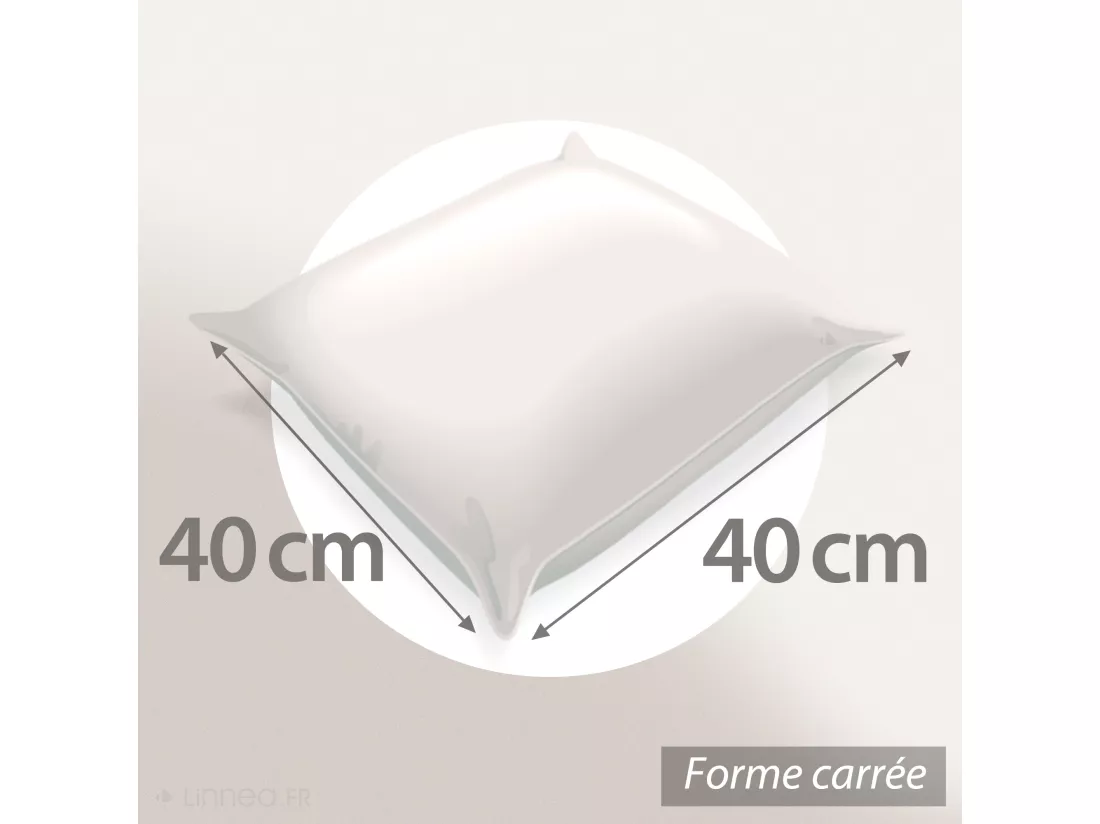 Oreiller 40x40 cm GRIZZ'LIT PLUMES 100% Plumes de Canard