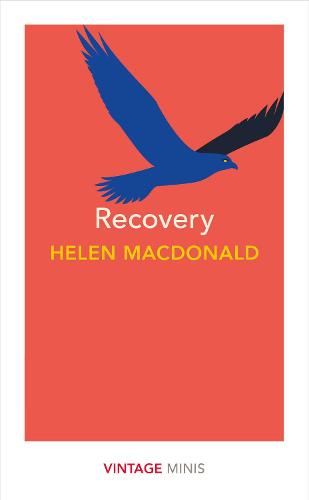 Recovery: Vintage Minis - Vintage Minis (Paperback)
