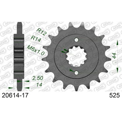 Kit chaine AFAM 525 Type Acier