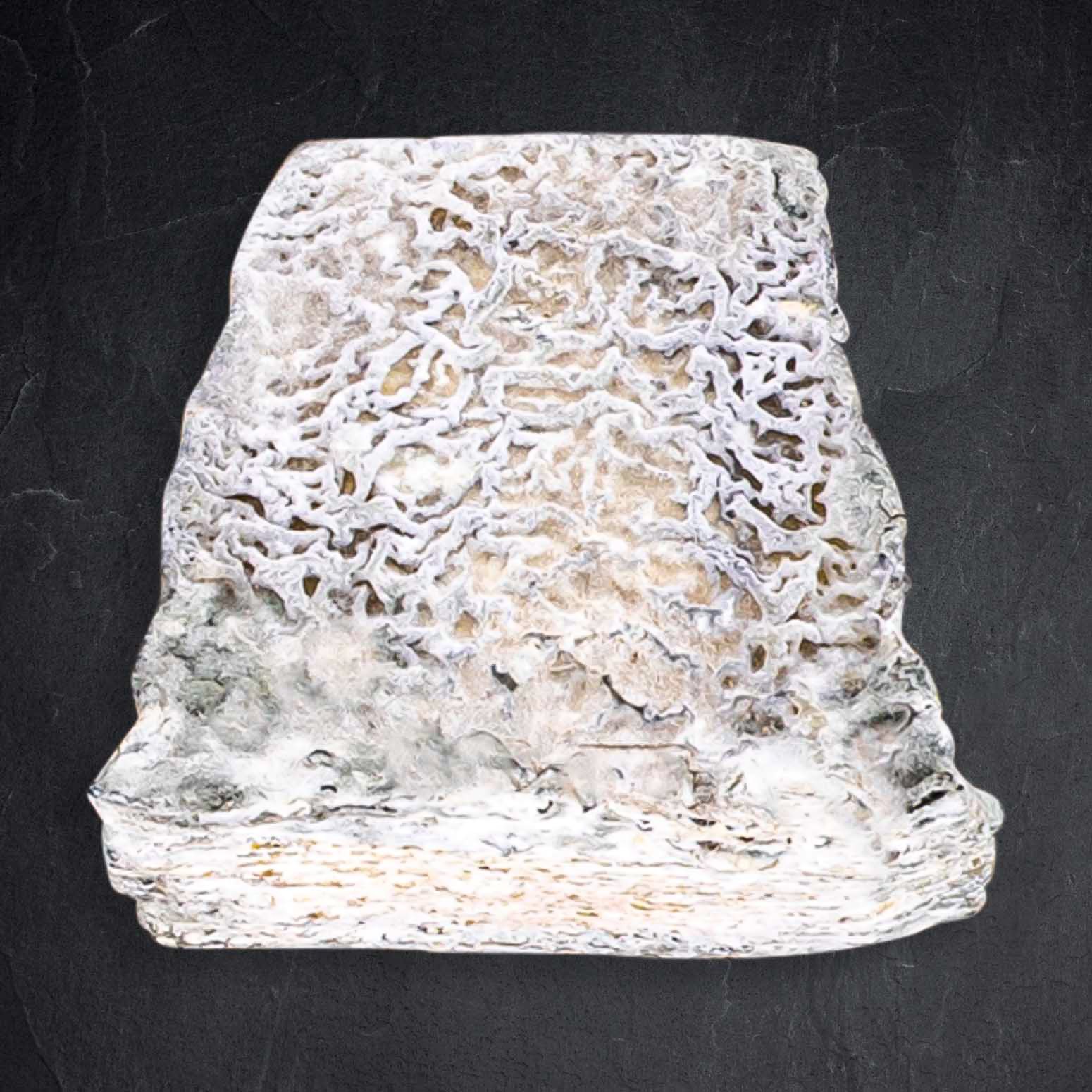 Valencay Fermier Ziegenweichkäse gU