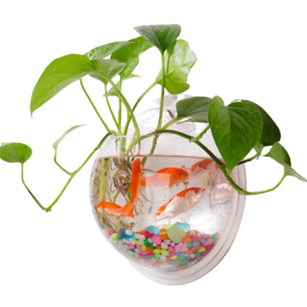 Universal Bol Poisson 3D Suspendu