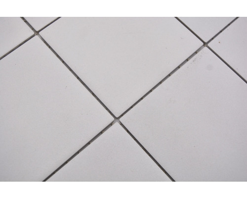 Keramisch mozaïek RAT 200 30x30 cm wit mat en slipvast